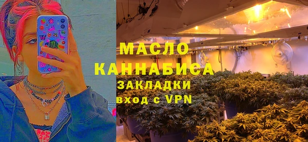 твердый Заводоуковск