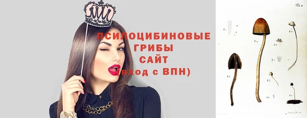 твердый Алапаевск