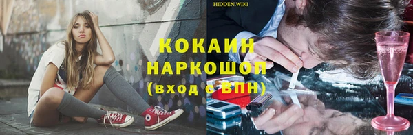 твердый Заводоуковск